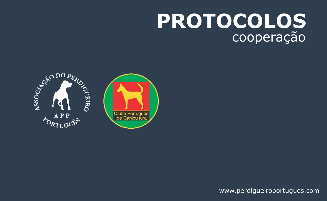 Protocolo de Cooperação