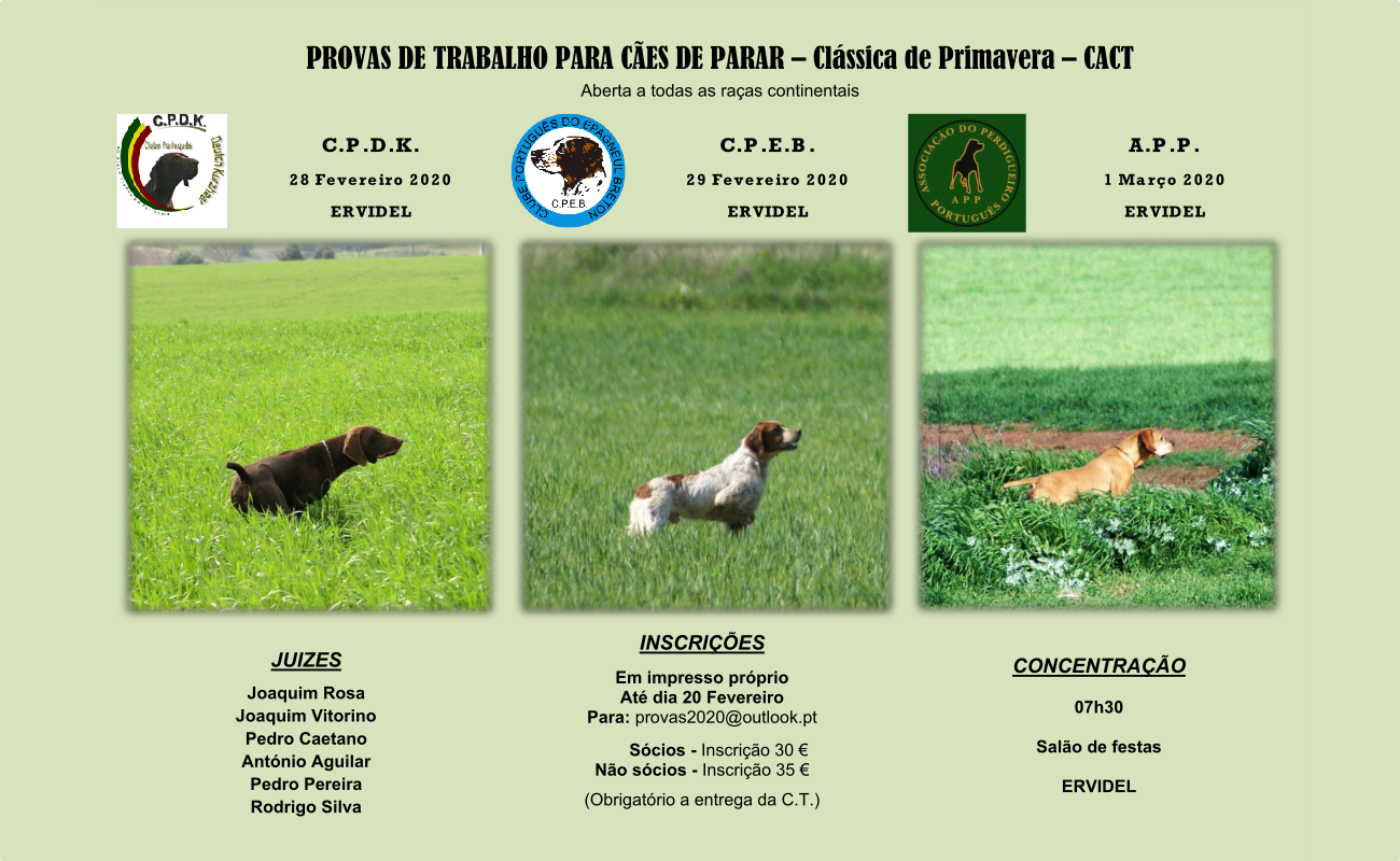 Clássica e Primavera