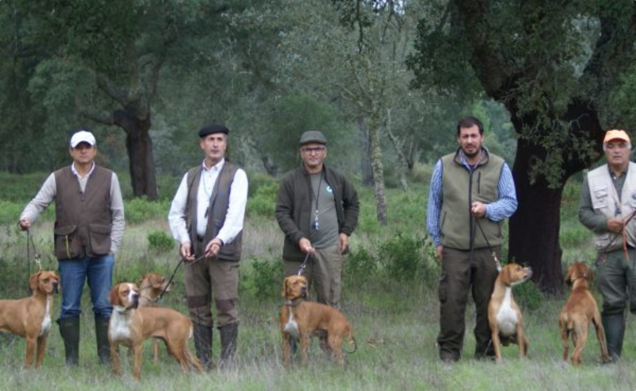 Regulamento Da Tabela De Cotação, Divulgação De Ninhadas E Ficha De Inscrição