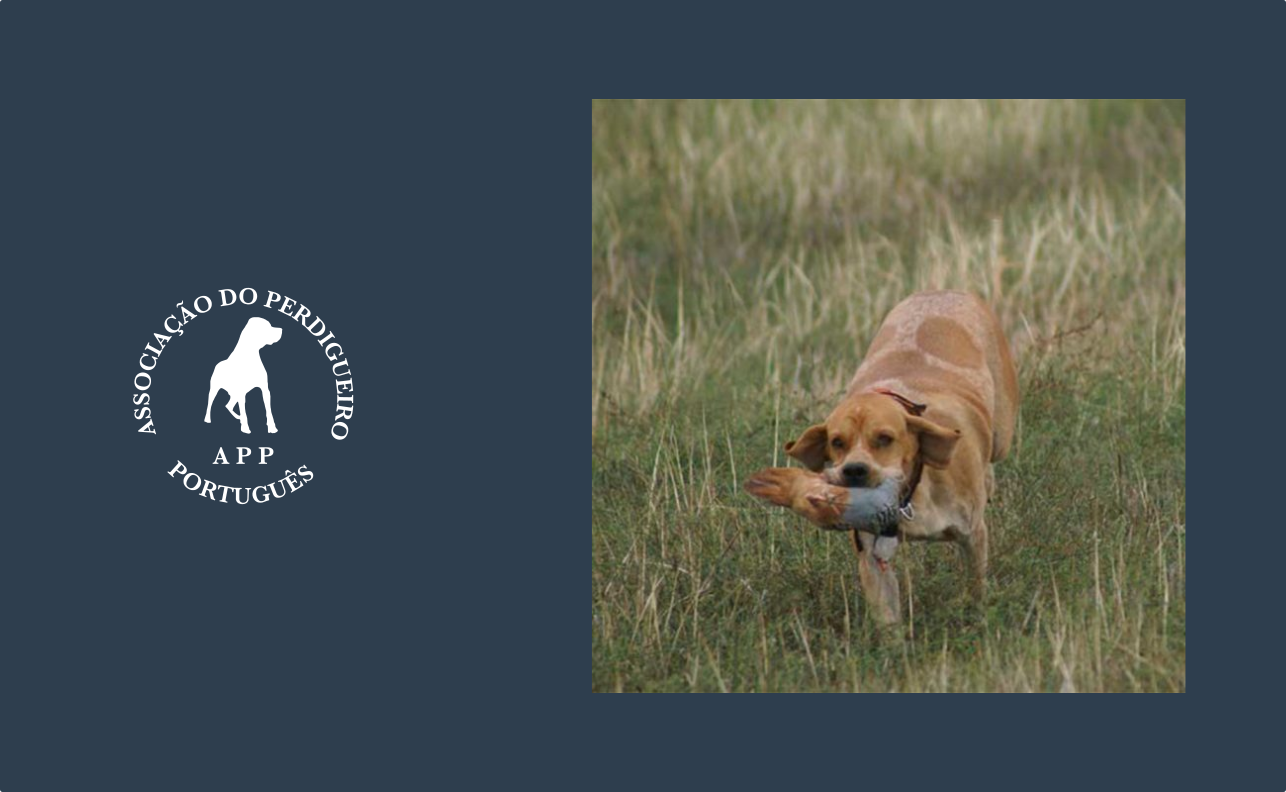 Bucedo, Burgos, Espanha