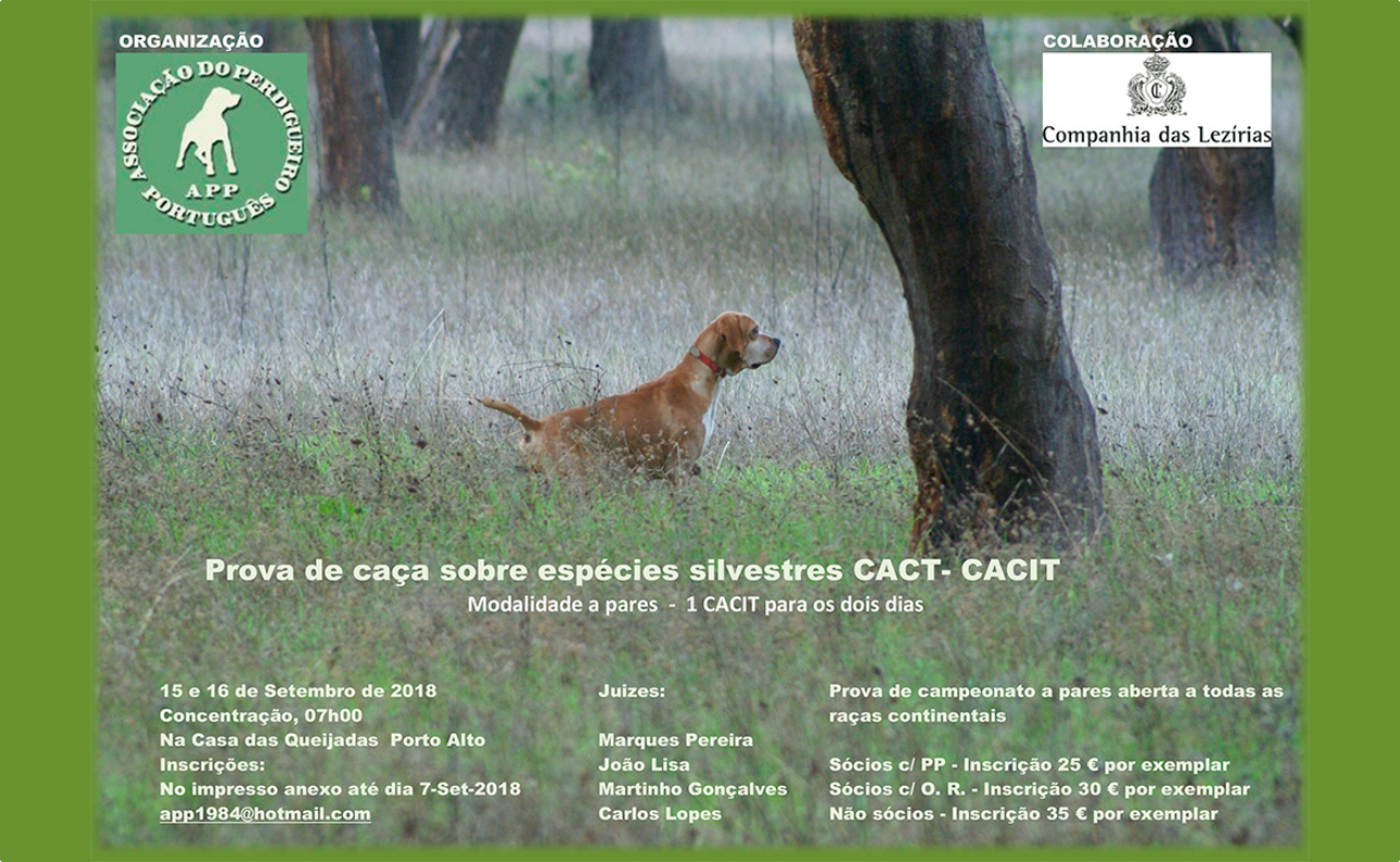CACT- CACIT