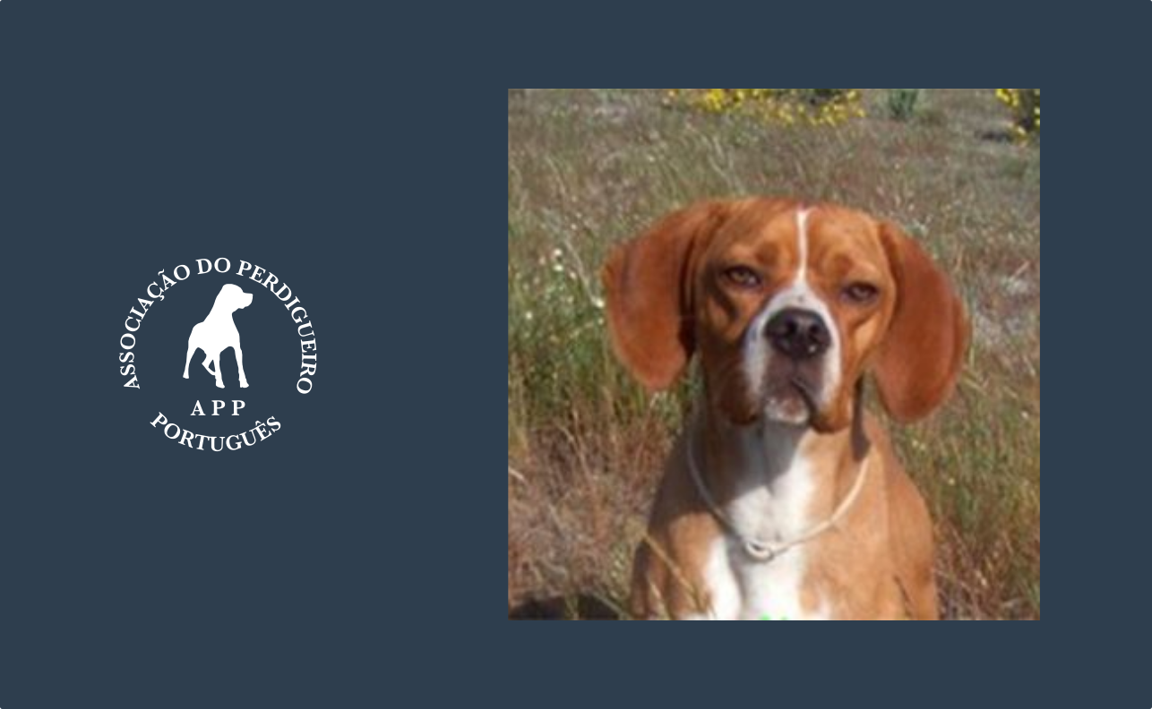 Tabela cotação, ninhadas e incrição