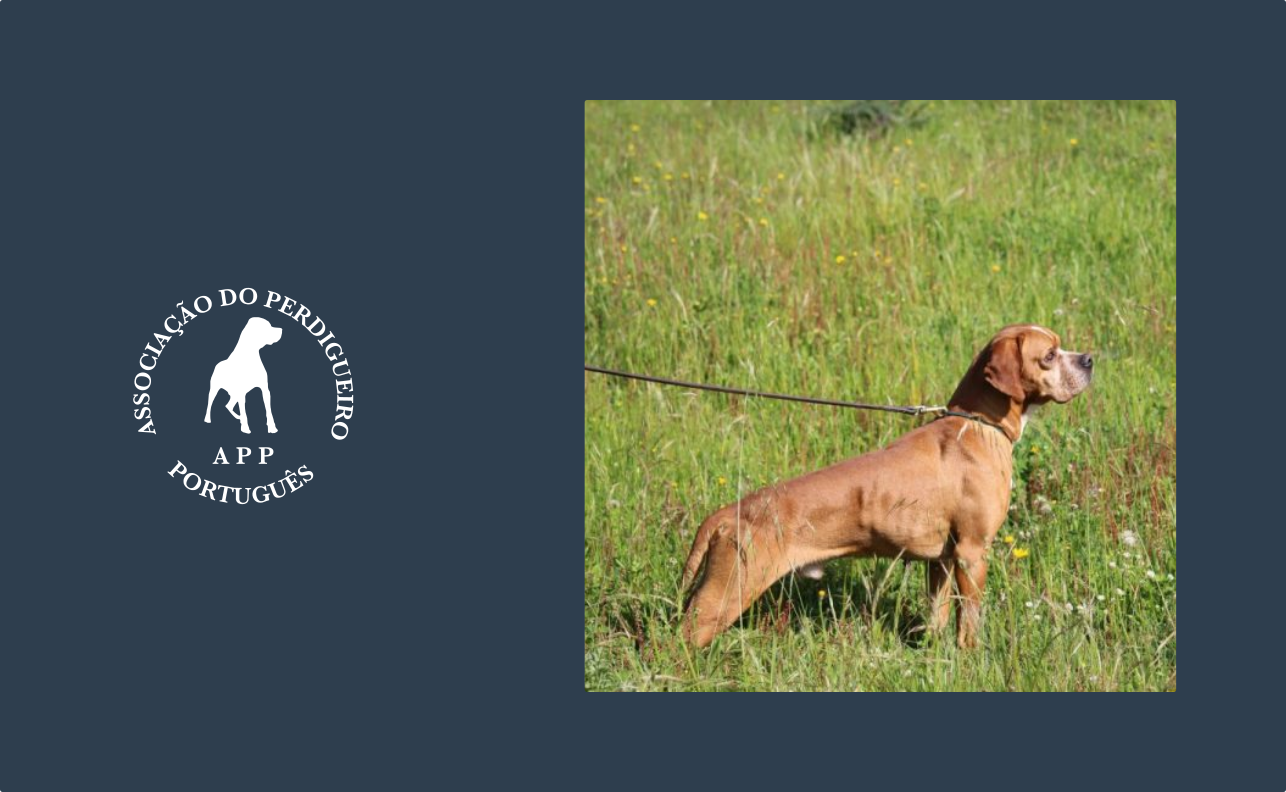 IV prova de Sto. Huberto da CNCP