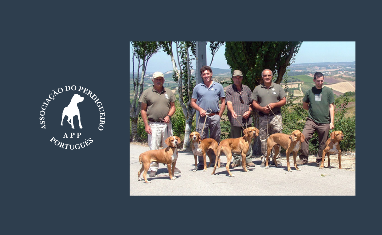 O PERDIGUEIRO PORTUGUÊS nas Provas de Sto.Huberto – Julho – 2011