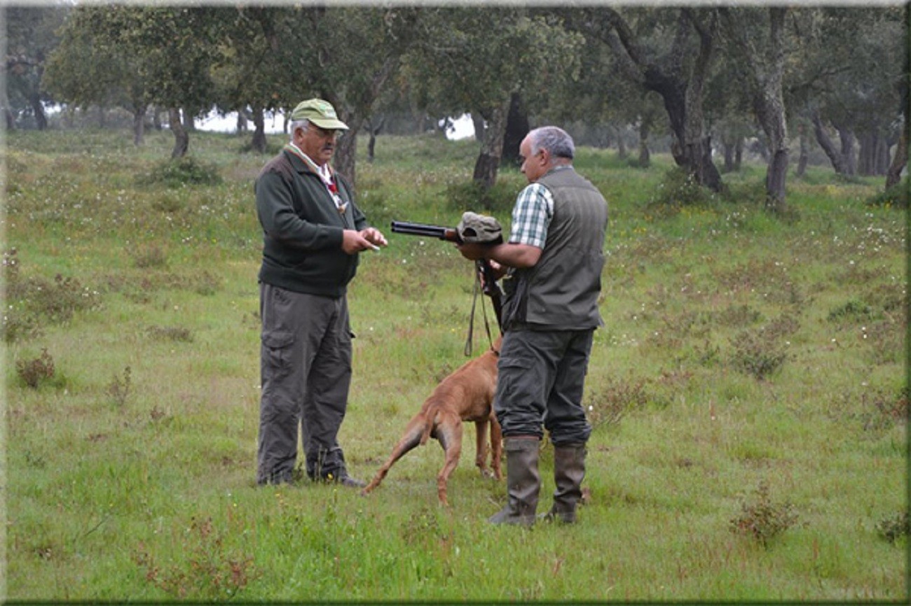 XXX Exposição Monográfica do Perdigueiro Português