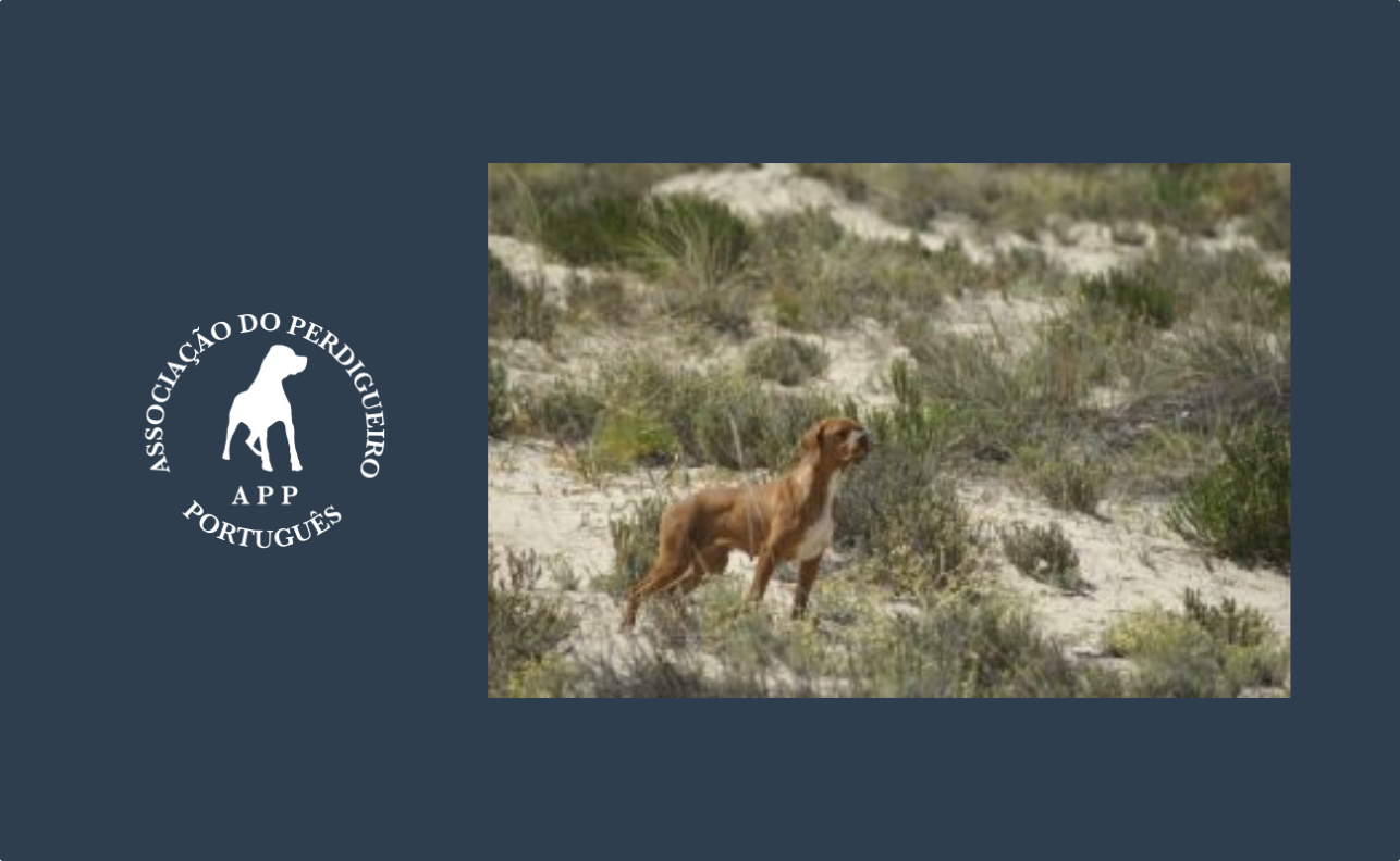 Encontro de Verão – Leirosa 2012